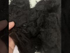 2,5D*64mm inheemse gerecyclede 2D holle vezels