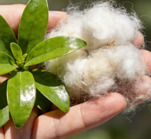 Het laatste nieuws van het bedrijf over Zwart-witte holle vezels: de ideale keuze voor textiel- en industriële productie