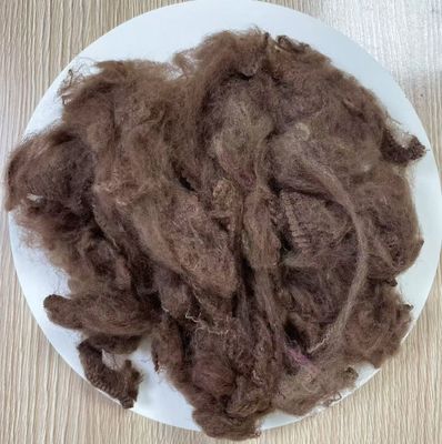 Goede prijs. Gerecyclede polyesterstapelvezel 2.5D 51mm Donker Koffie online