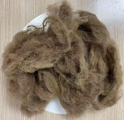 Goede prijs. Laag verlengde gerecycled polyester stapelvezel 25D 65mm diepe kamelenkleur online