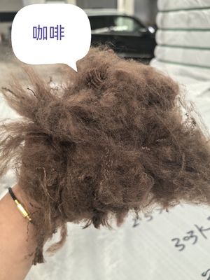 Goede prijs. Recycled polyester stapelvezels 3D 51 mm niet-geïsoleerd online