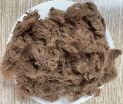 Goede prijs. Gerecyclede Polyester Staplevezel 2.5D 51mm Geel Koffie Hoge Kreukweerstand online
