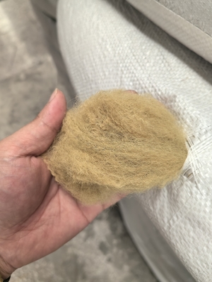Goede prijs. Gerecyclede polyesterstapelvezel 6D 51mm Beige Lage rek online